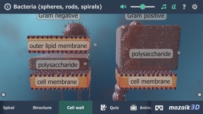 Screenshot #3 pour Bacteria 3D