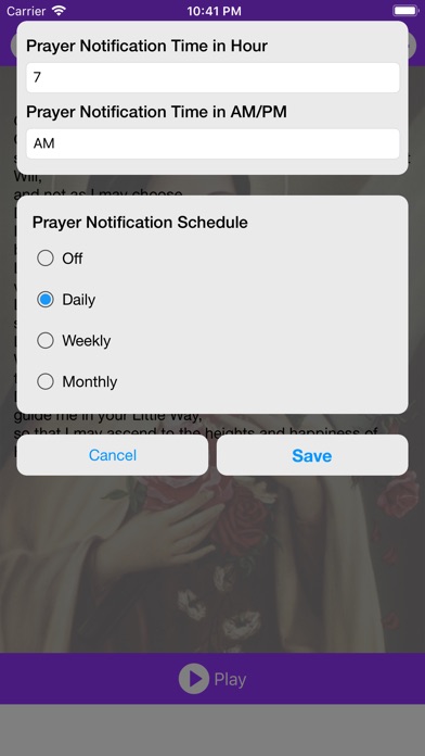 Prayer St Therese of Lisieux screenshot 4