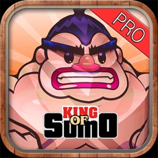 Activities of King of Sumo Pro