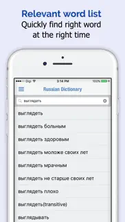 russian dictionary + iphone screenshot 2