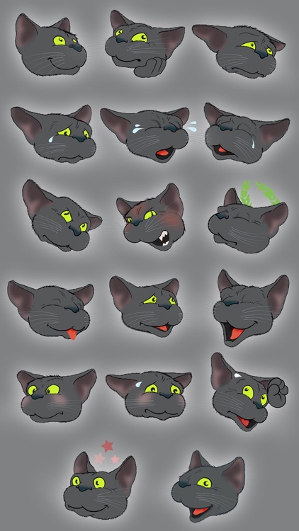 Black Cat emoji screenshot-3