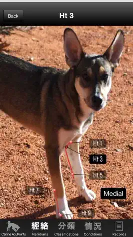 Game screenshot Canine Acupoints apk