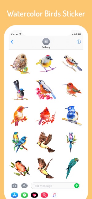 Watercolor Lovely Birds Sticke