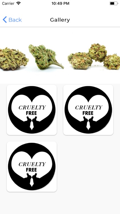 All to Faith screenshot-8