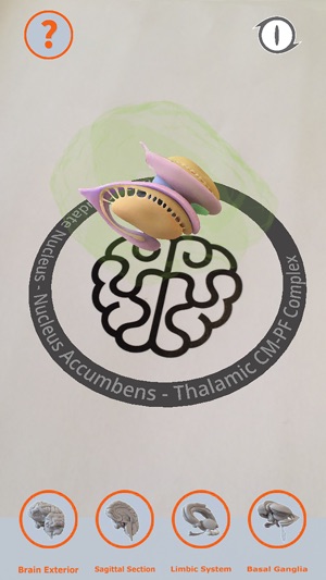 Cortical Brain(圖4)-速報App