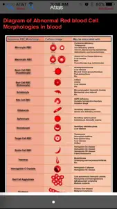 Hematology Outlines Atlas screenshot #2 for iPhone