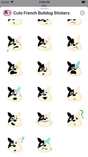 可愛的法國鬥牛犬(圖4)-速報App