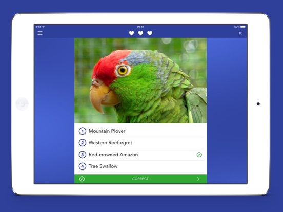 iKnow Birds PRO - USA iPad screenshot 4 - Reference app