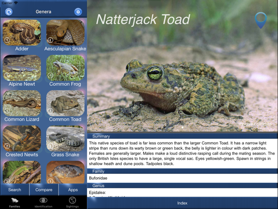 Screenshot #5 pour Reptile Id - UK Field Guide