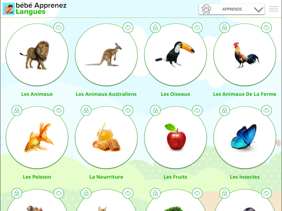 Screenshot #5 pour Bébé Apprenez - LANGUES