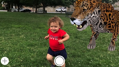 Backyard Safari screenshot 3
