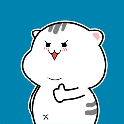 Funny Kitten Animated Stickers