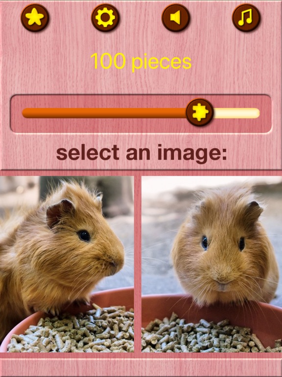 Guinea Pig Jigsaw Puzzle Games iPad screenshot 9 - Games app