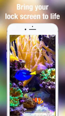 Game screenshot Aquarium Dynamic Wallpapers+ apk