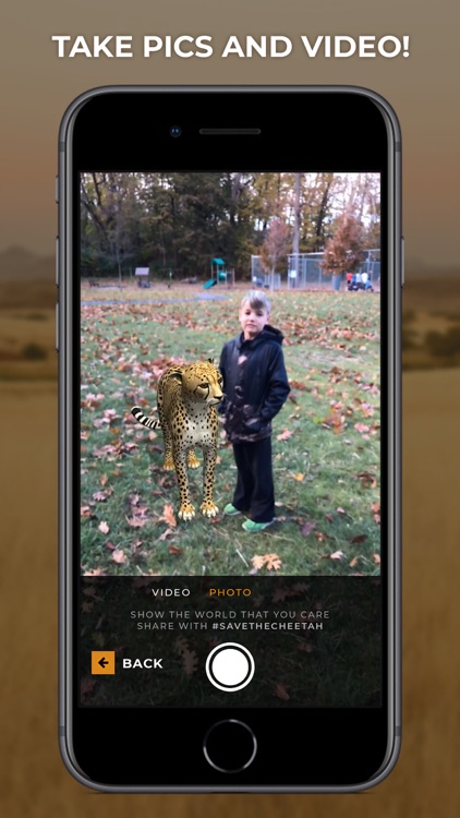 Virtual Cheetah screenshot-3