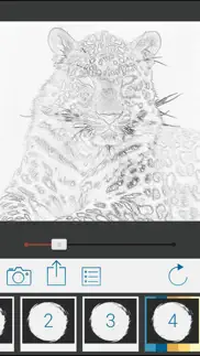 photo to pencil sketch drawing iphone screenshot 2
