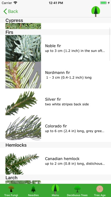 tree-guide