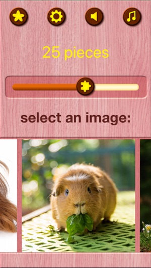 Guinea Pig Jigsaw Puzzle Games(圖8)-速報App