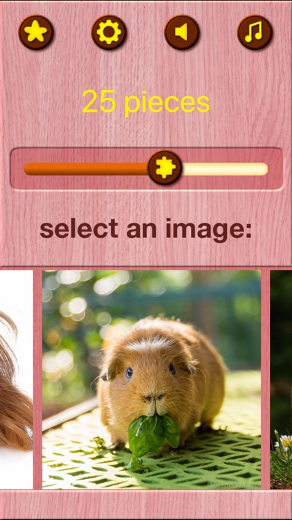 Guinea Pig Jigsaw Puzzle Games screenshot-7