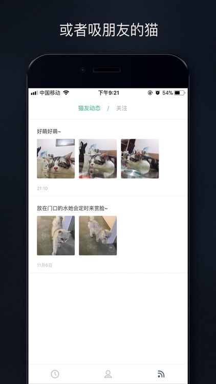 吸猫 - 你的猫就是我的猫