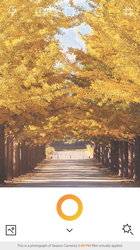 AUTUMN - Season Camera - autumn-season-camera-app-interface