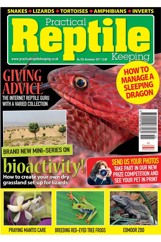 Practical Reptile Keeping