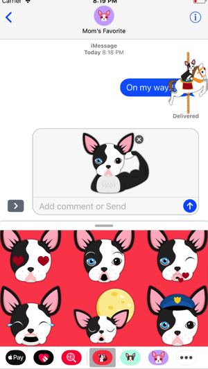 Splash Boston Terrier(圖2)-速報App