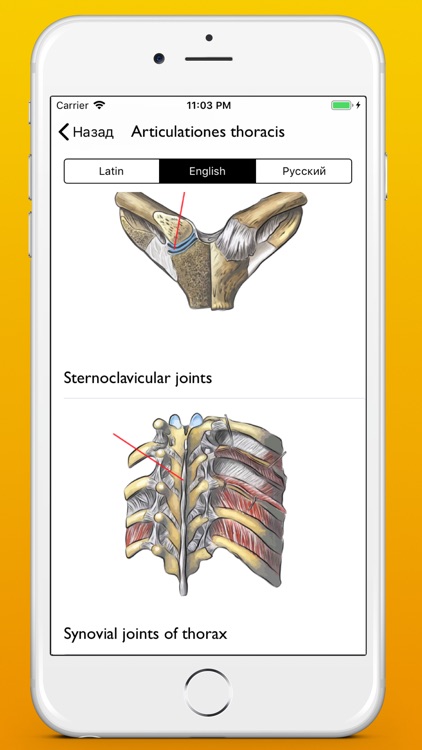 Atrhrology atlas app screenshot-3