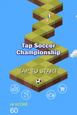 Game screenshot Tap Soccer Championship mod apk