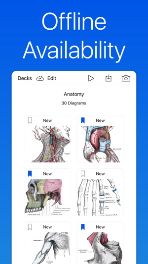 Anatomy and Physiology GO(圖5)-速報App