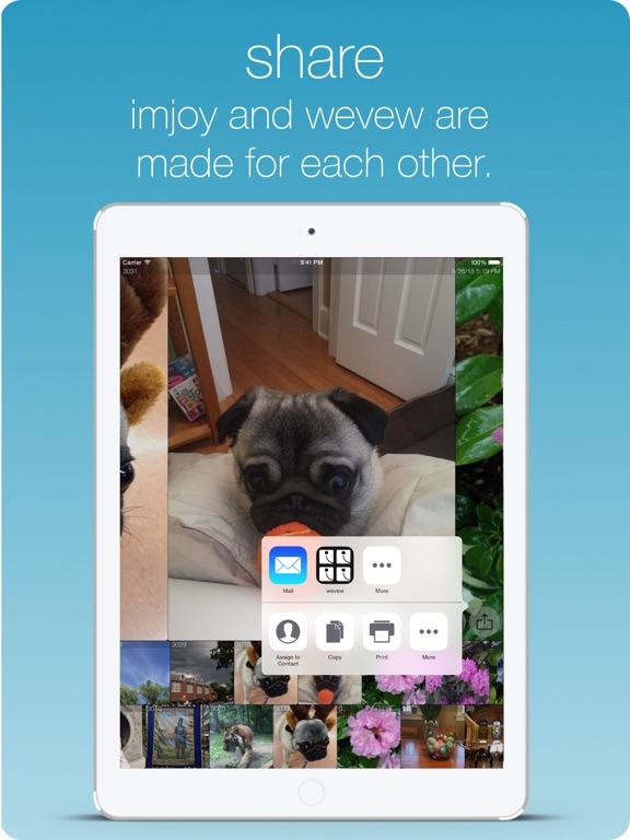 imjoy - i am joy iPad screenshot 4 - Photo & Video app