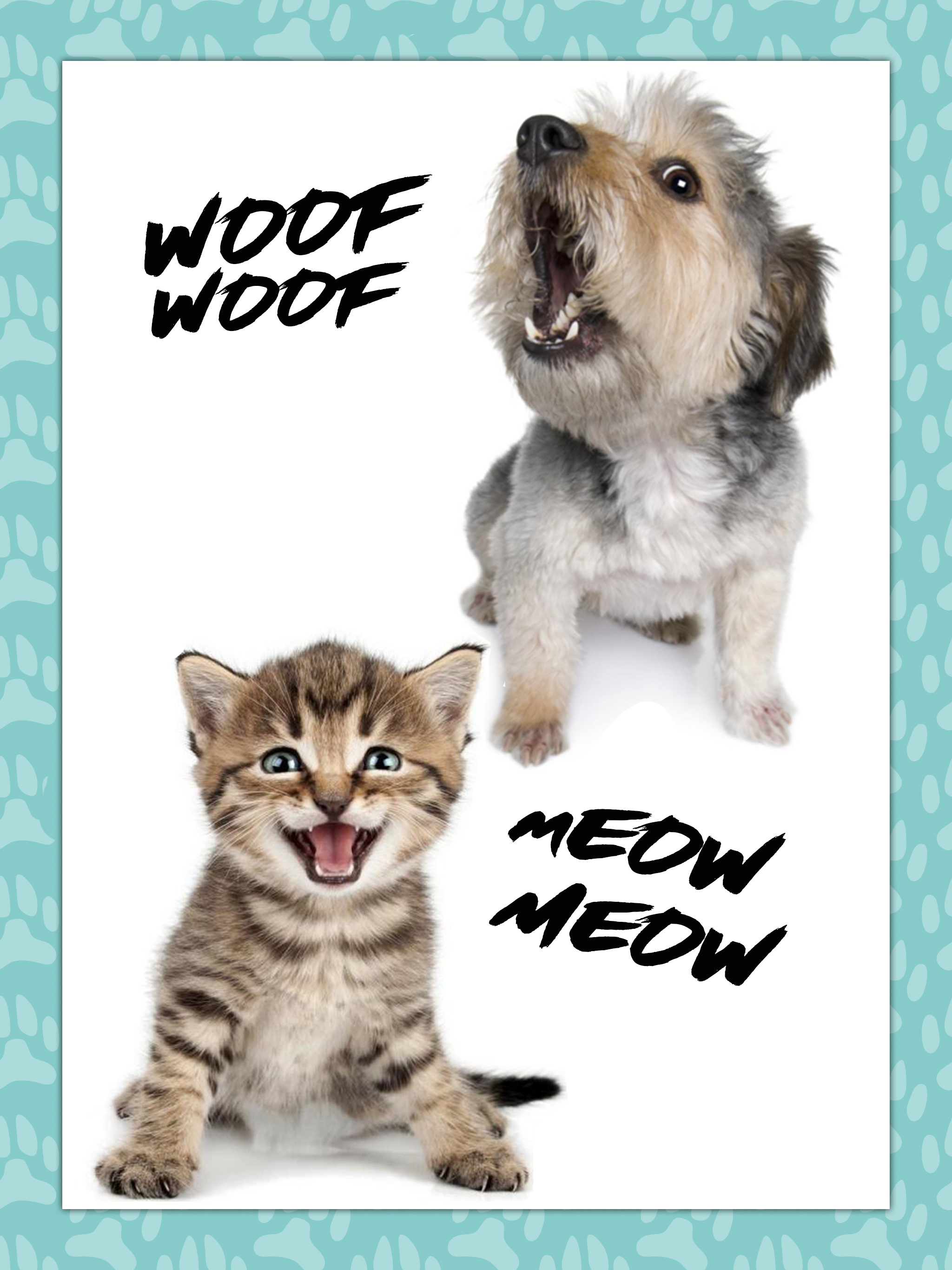 Dogs and cats sounds - Meows and barks
