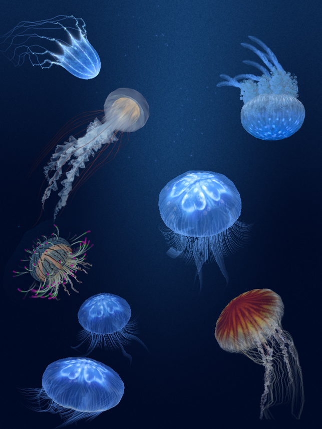 ‎Jellyfish Heaven HD Screenshot