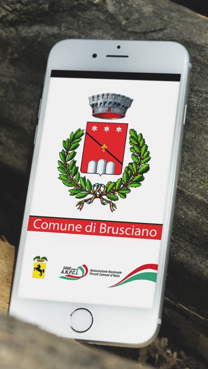 ComuneIn Brusciano