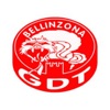 GDT Bellinzona
