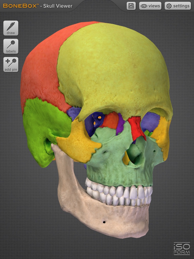 BoneBox™ - Skull Viewer screenshot 4