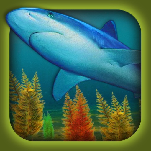 Can You Escape From The Sea ? Icon