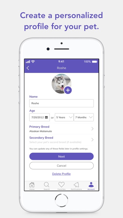 Mochi: Pet Supplies for Amazon