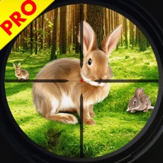 Activities of Wild Rabbit Hunting Simulator
