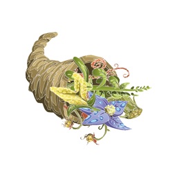 Thanksgiving Sticker