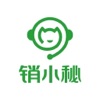 销小秘