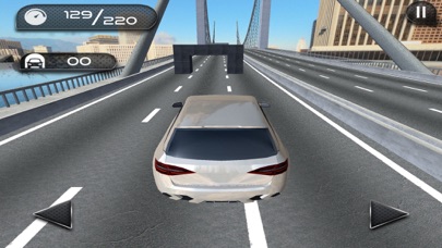 100 Speed Bumps Driving Test screenshot 3