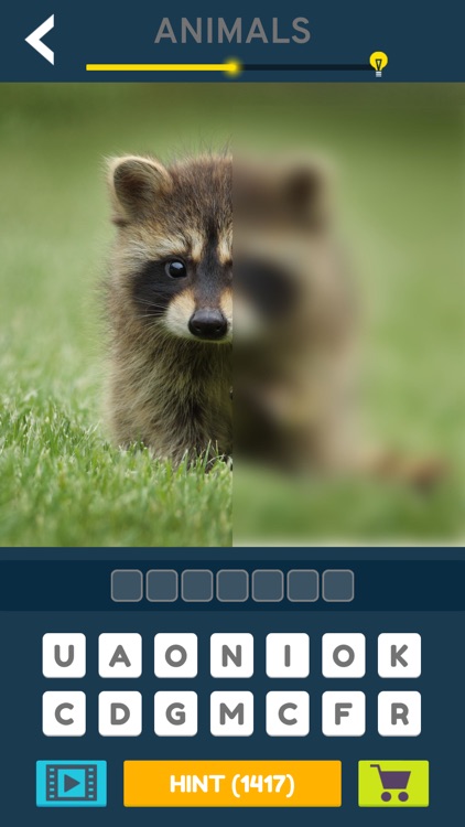 Half Pic 1 Word screenshot-4