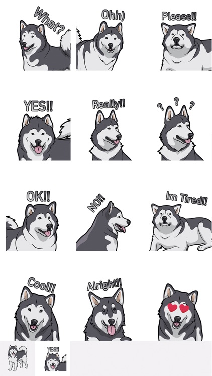 MalamuteMoji - Alaskan Malamute Emoji & Stickers