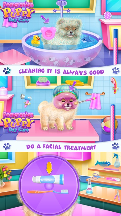 Pomeranian Puppy Day Care screenshot 2