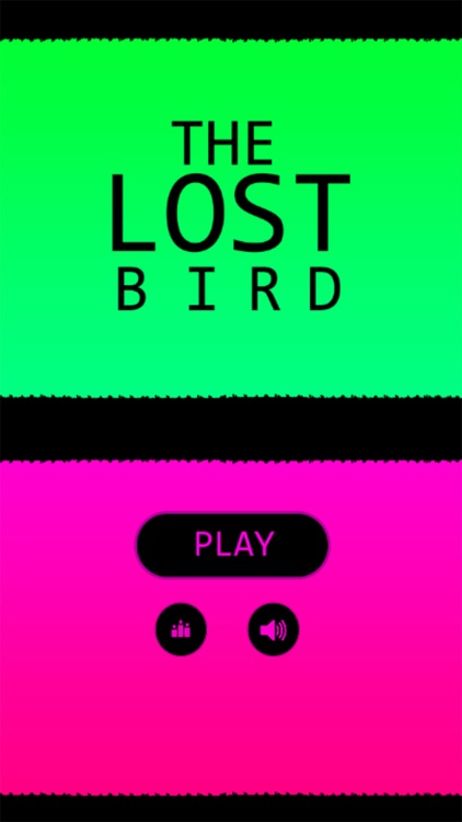The Lost Bird Adventure