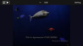 Game screenshot Fish in Aquamarine-FUKUSHIMA mod apk