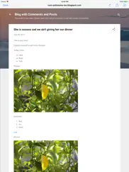 app for blogger blogspot ipad capturas de pantalla 2