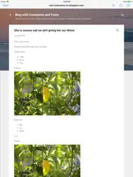 App for Blogger Blogspot ipad bilder 1