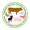 中国畜牧养殖网.